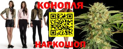 mdpv Гатчина