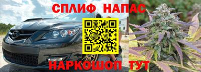 ешки Гагарин