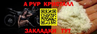 ешки Гагарин