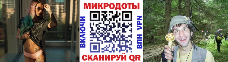 где купить наркотик  Гусев  Галлюциногенные грибы мицелий 
