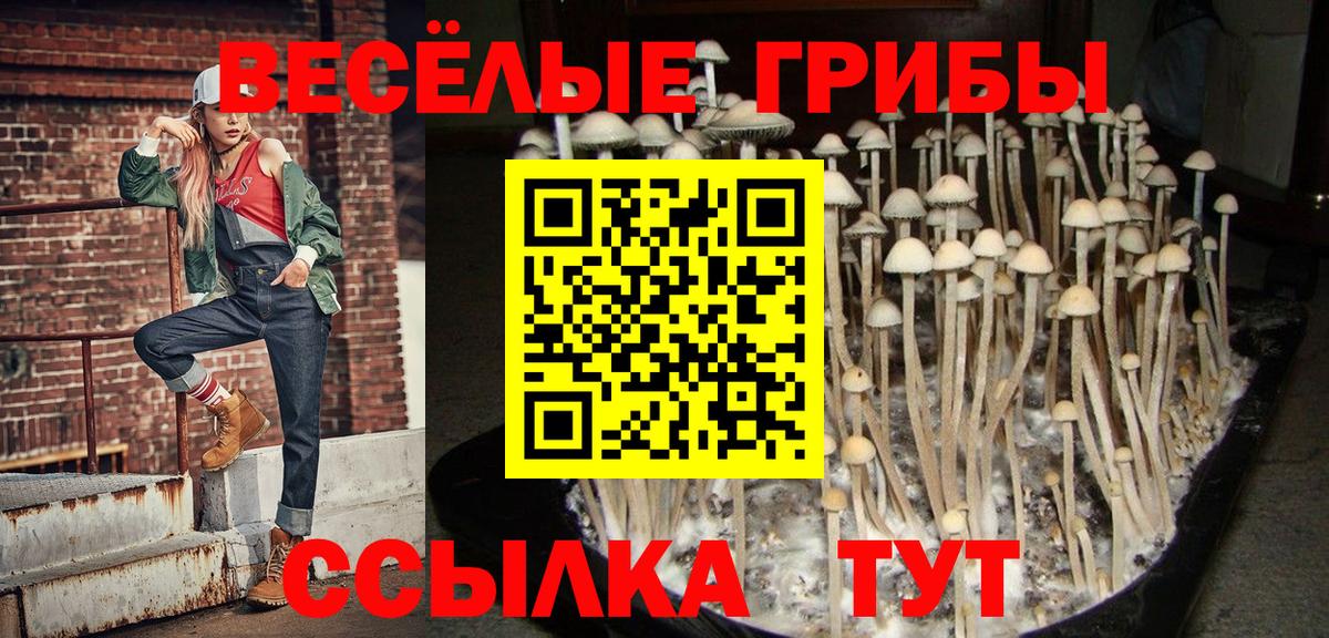 Псилоцибиновые грибы GOLDEN TEACHER  Гусев  Псилоцибиновые грибы GOLDEN TEACHER 