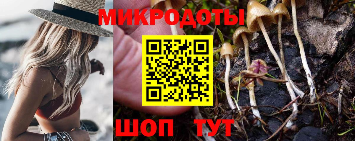 Галлюциногенные грибы Psilocybine cubensis  Галлюциногенные грибы Magic Shrooms  Вход с VPN  Гусев 