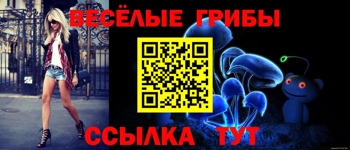 Псилоцибиновые грибы Cubensis Гусев