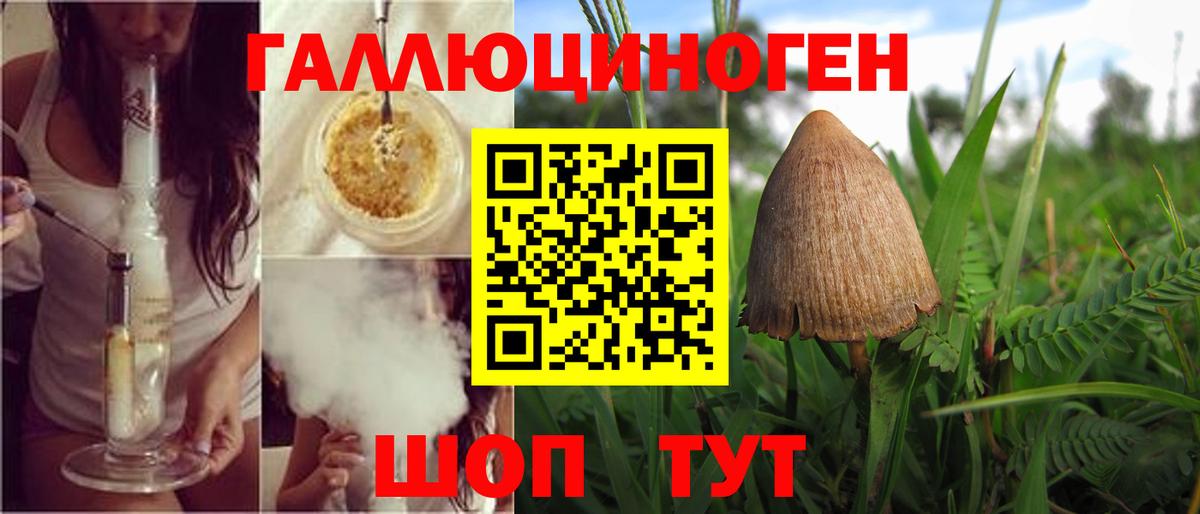 ЭКСТАЗИ Гусев